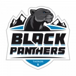 Black Panthers Football Américain